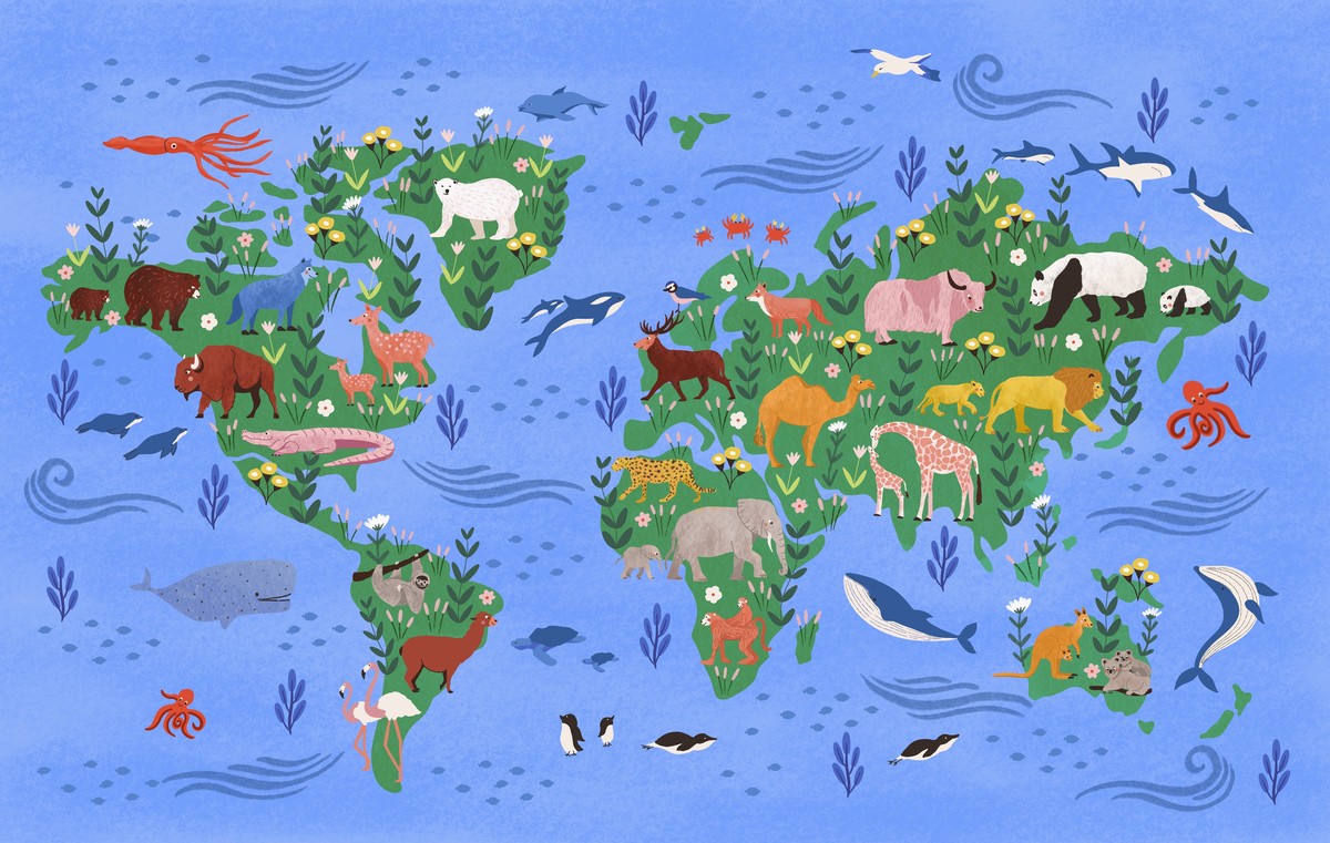 World Map