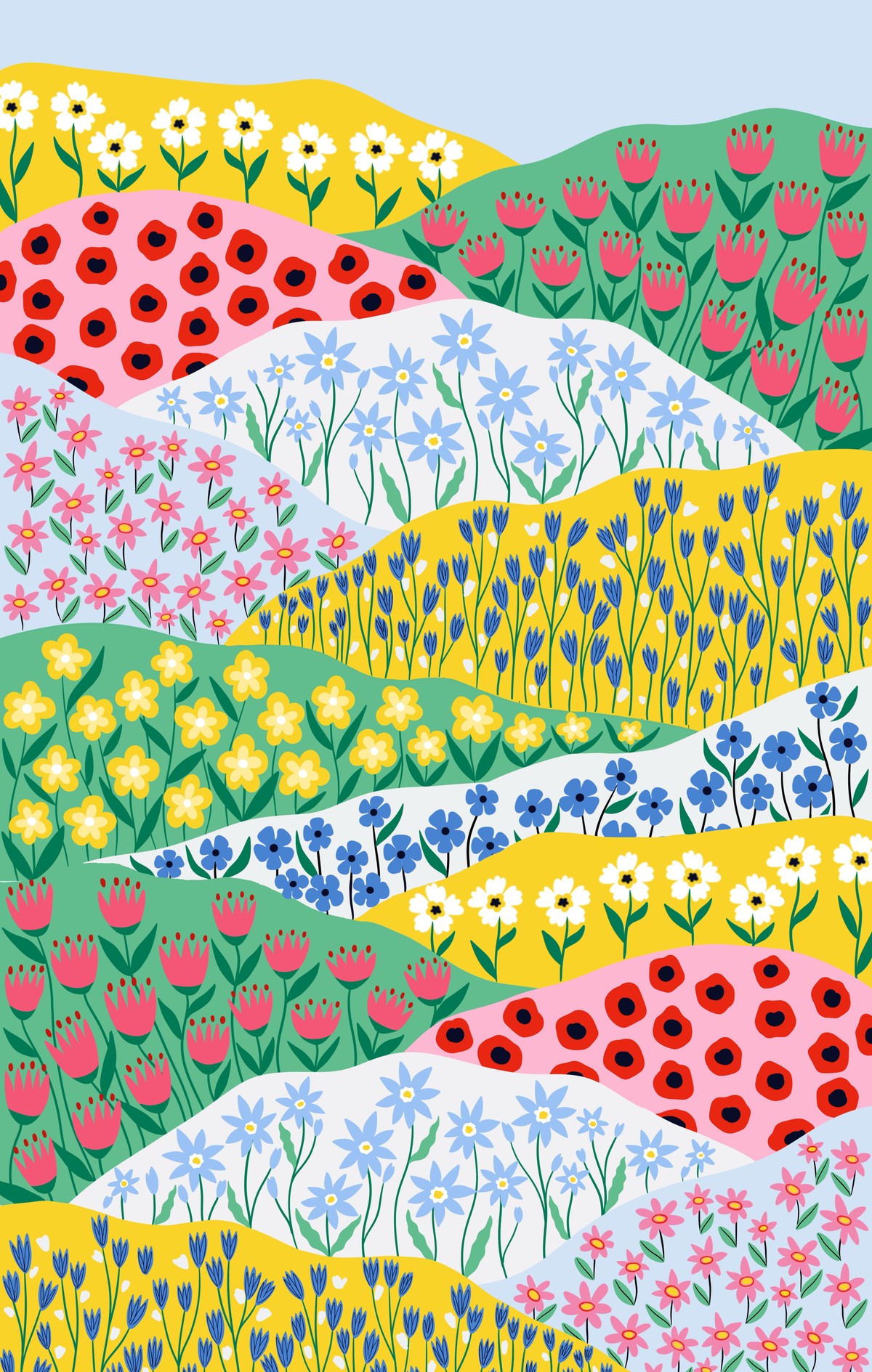 Flower Fields